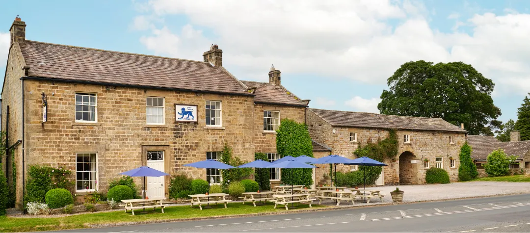 Blue Lion